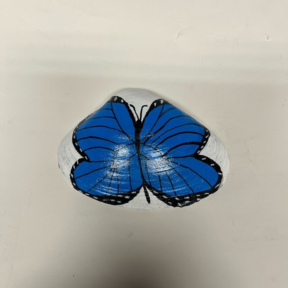 Hand Painted Butterfly Shell - Picture 4 of 10